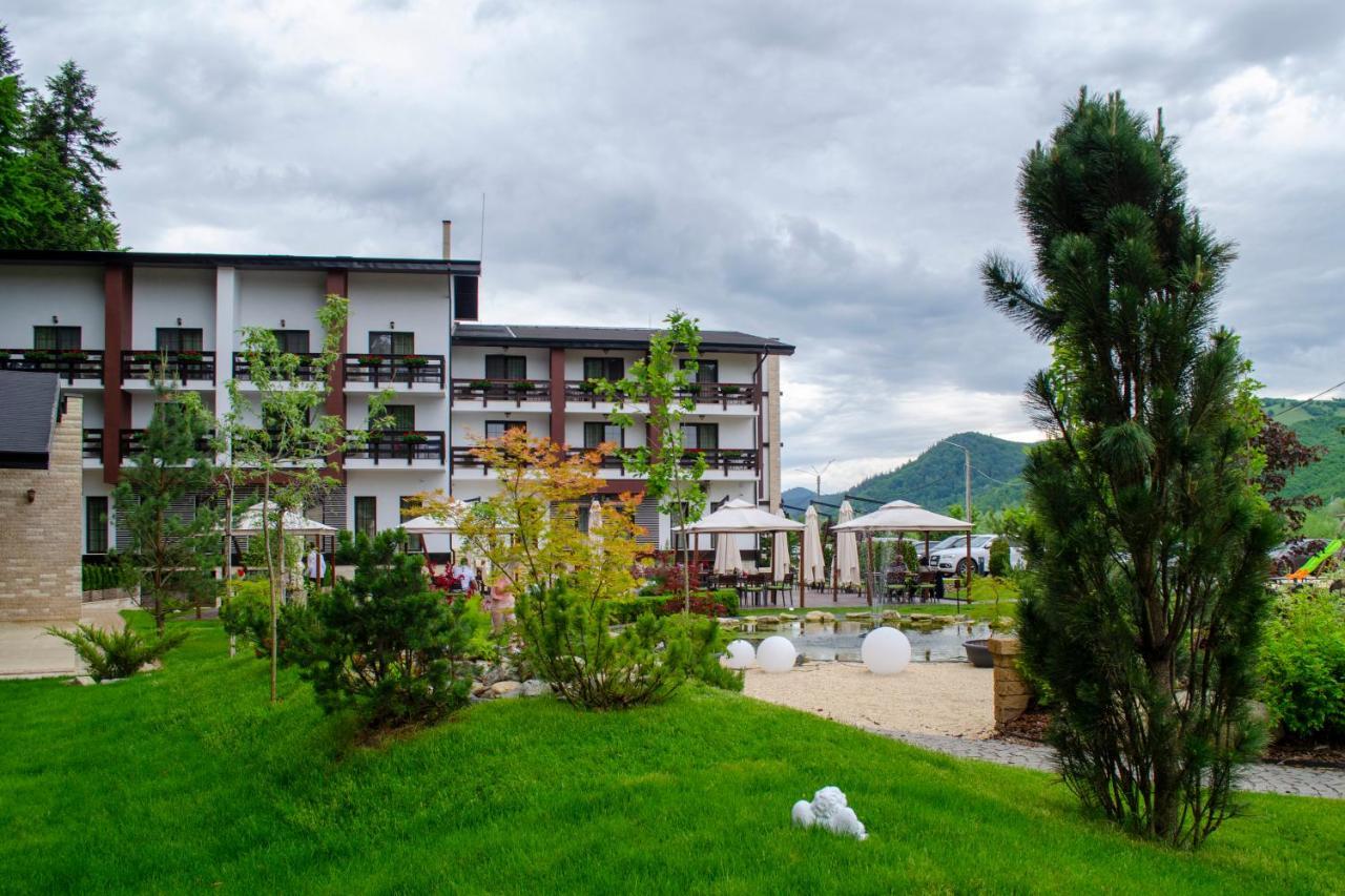 Piatra Pinului Ski & Spa 古拉哈莫卢洛伊 外观 照片
