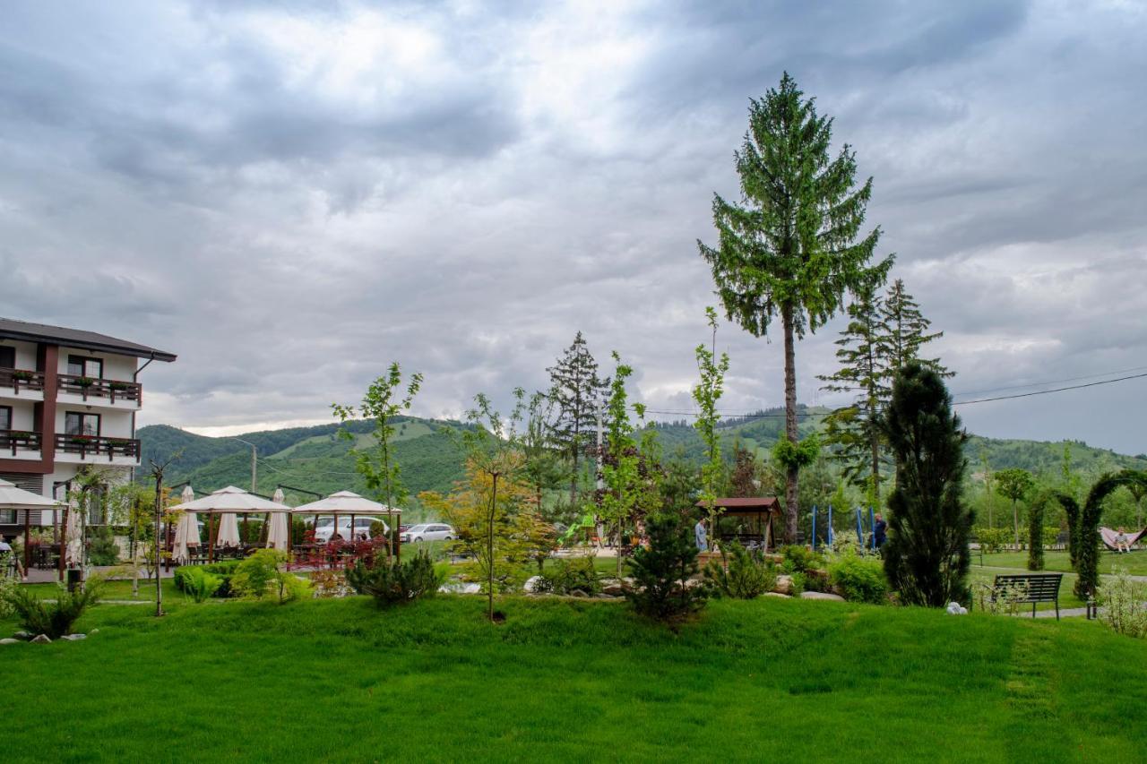 Piatra Pinului Ski & Spa 古拉哈莫卢洛伊 外观 照片