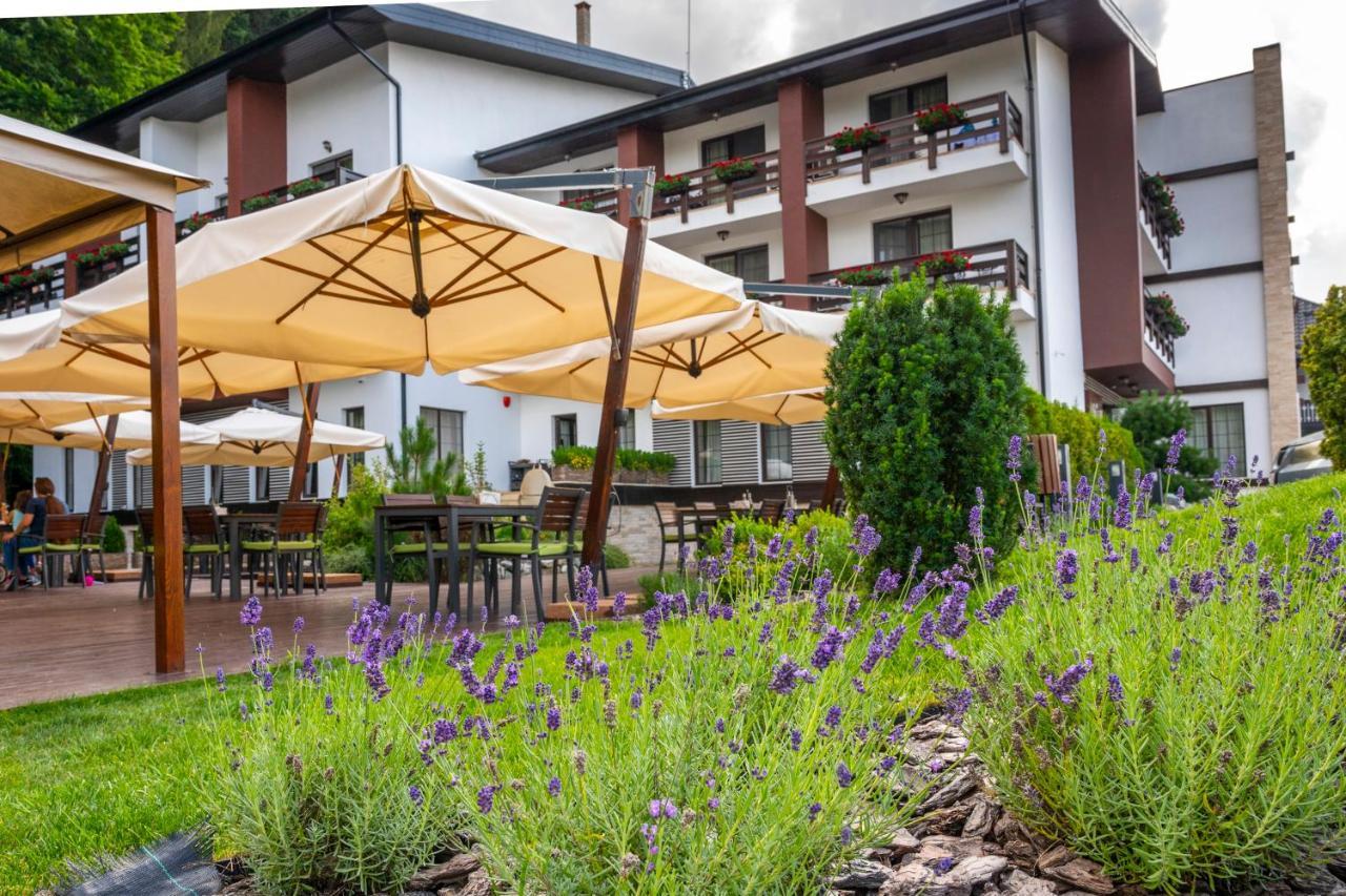 Piatra Pinului Ski & Spa 古拉哈莫卢洛伊 外观 照片