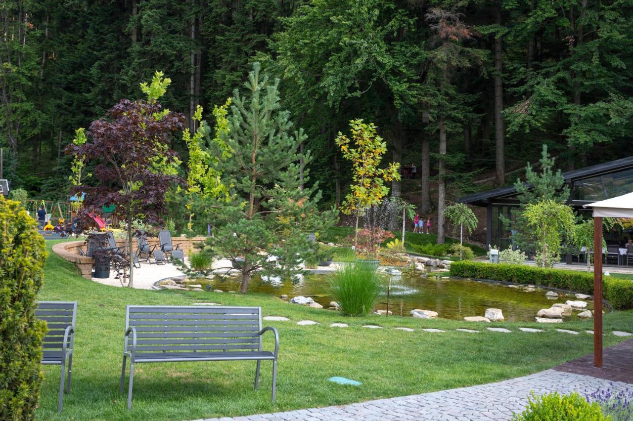 Piatra Pinului Ski & Spa 古拉哈莫卢洛伊 外观 照片